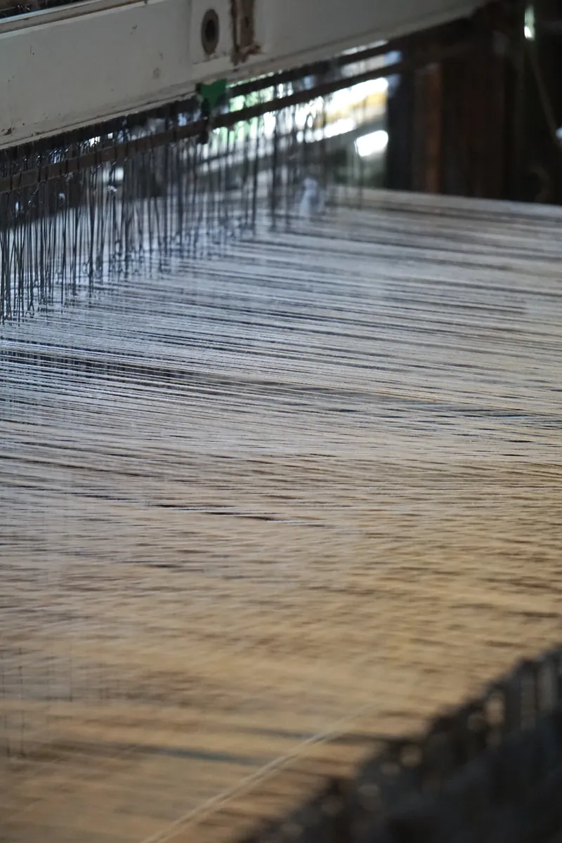 Hilos de algodón en el telar de nuestra fábrica en Tucumán